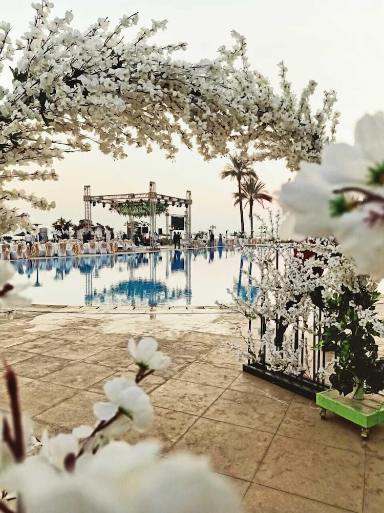 Tolip Elforsan Ismailia 42/50