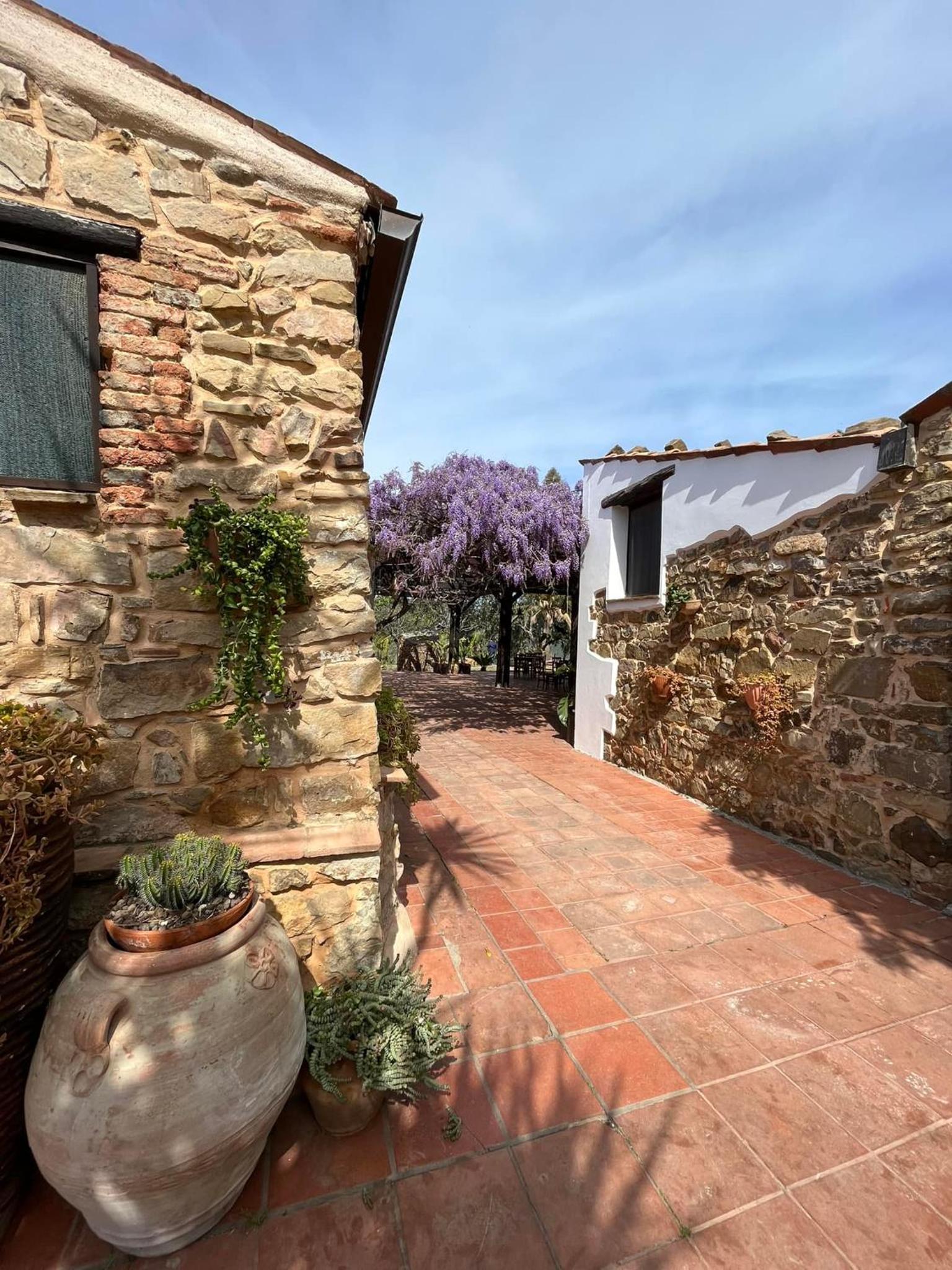 Tenuta Luogomarchese 33/36