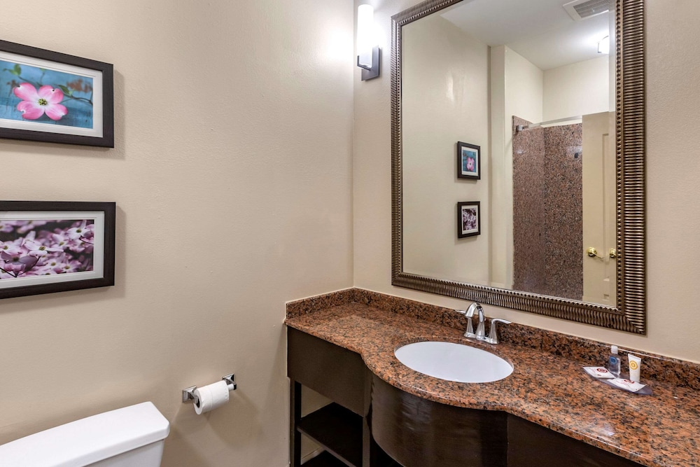 Comfort Inn & Suites Villa Rica, GA 45/47