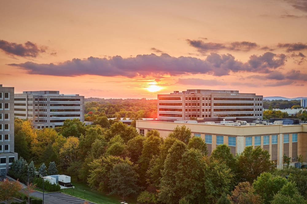Ac Hotel By Marriott Bridgewater 13/72