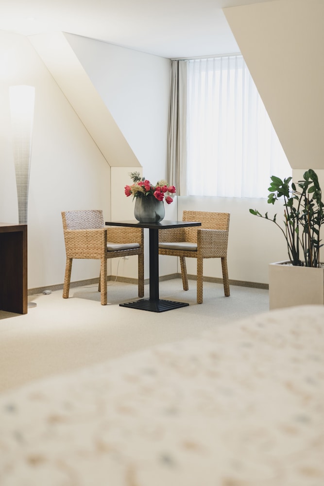 RESIDENCE HOTEL 20/38