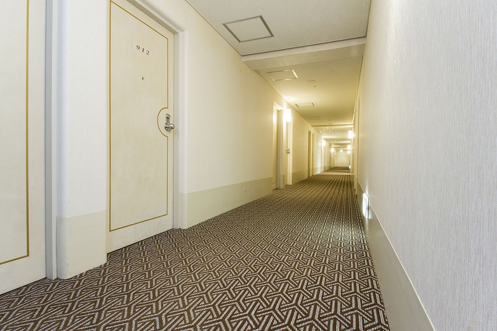 IPシティホテル大阪(旧ハートン南船場) 写真5