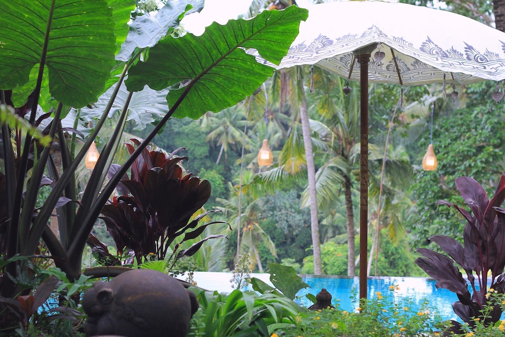 Bucu View Resort 47/50