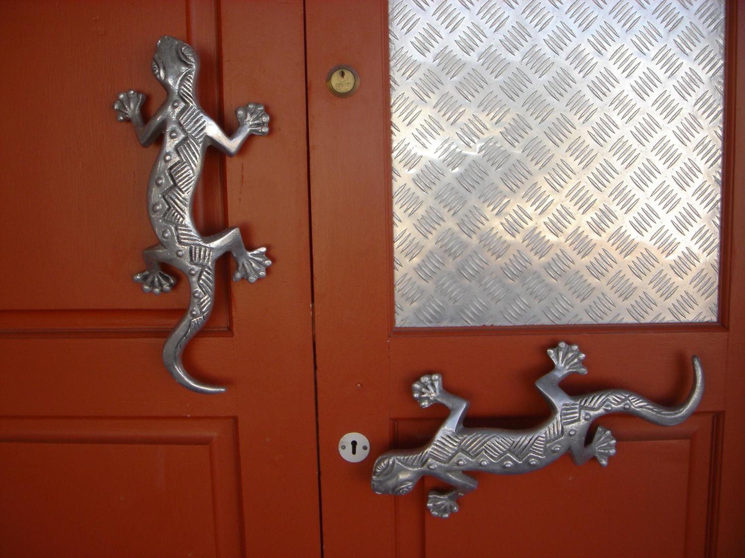 2 Geckos 20/50