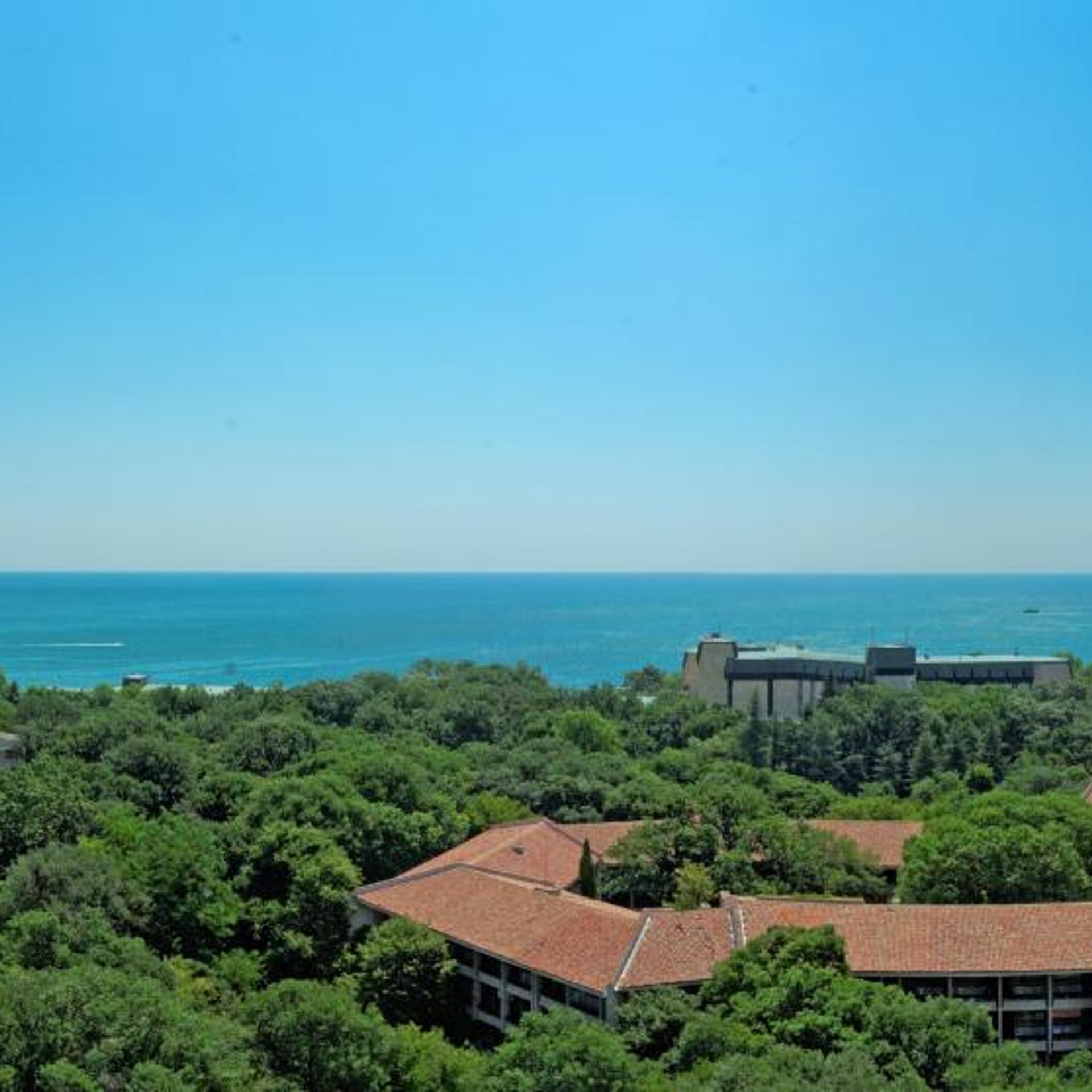 HOTEL ELENA 50/53