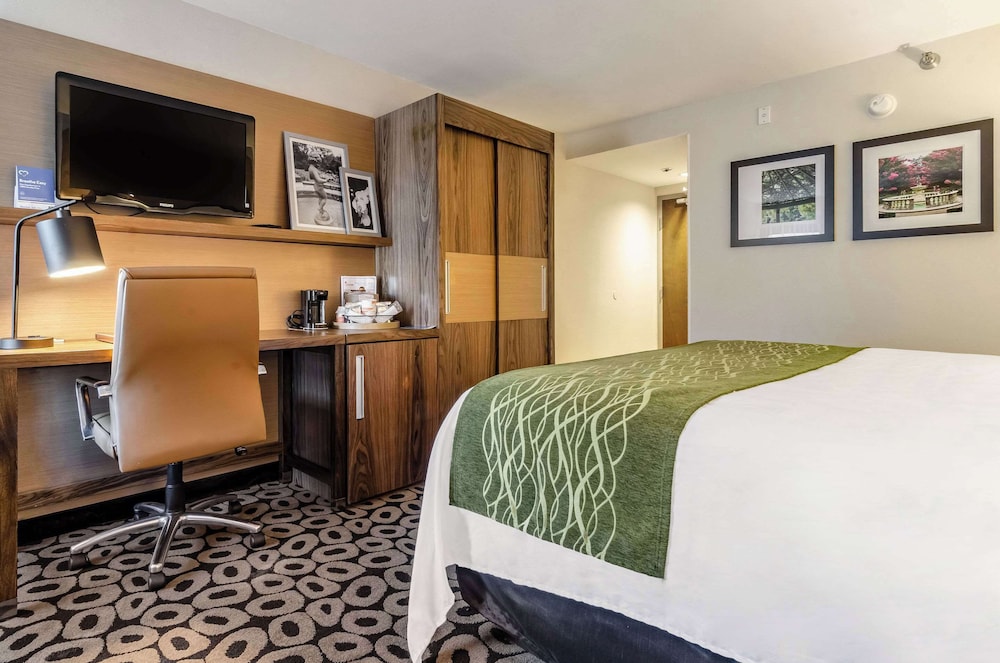 UPGRADE, SUITE, QUEEN BED, ACCESSIBLE