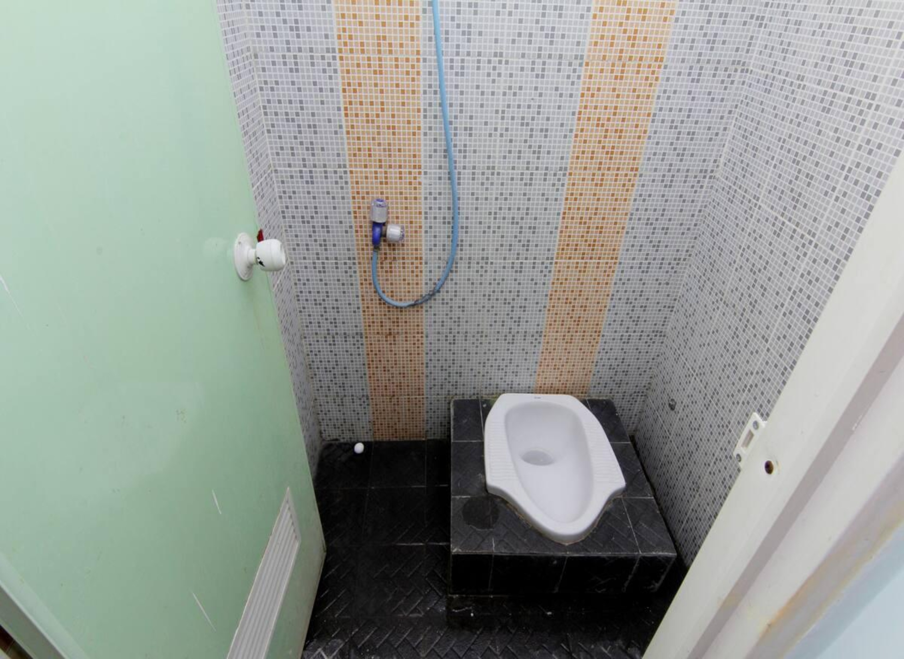 Mixed Dorm, Shared Bathroom