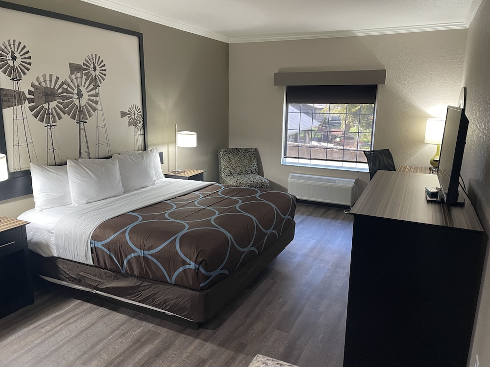 Room, King Bed