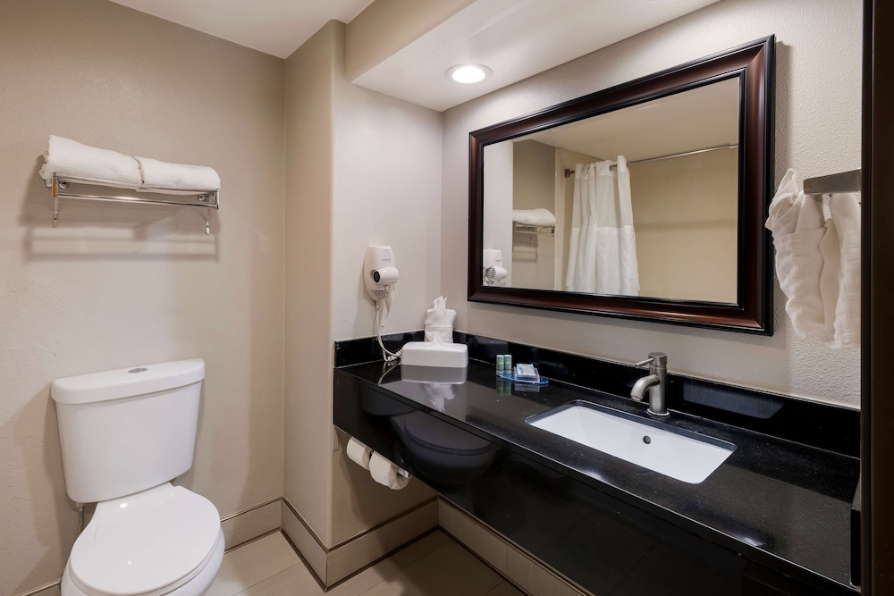 Suite, King Bed