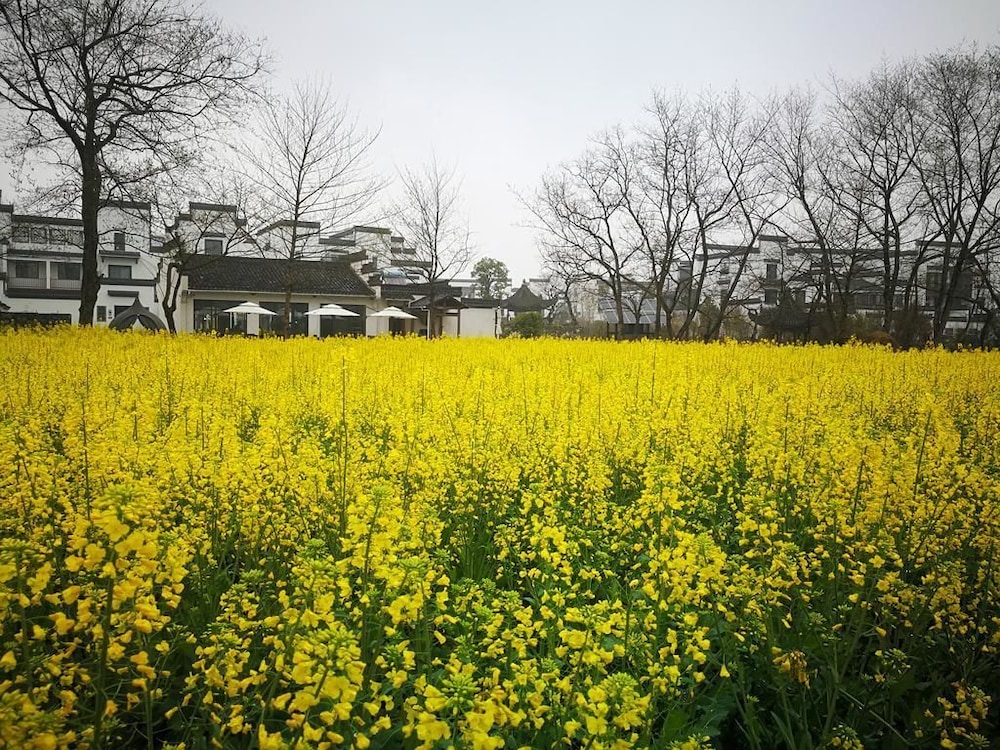 Huangshan Huizhou Creek Villa 20/38
