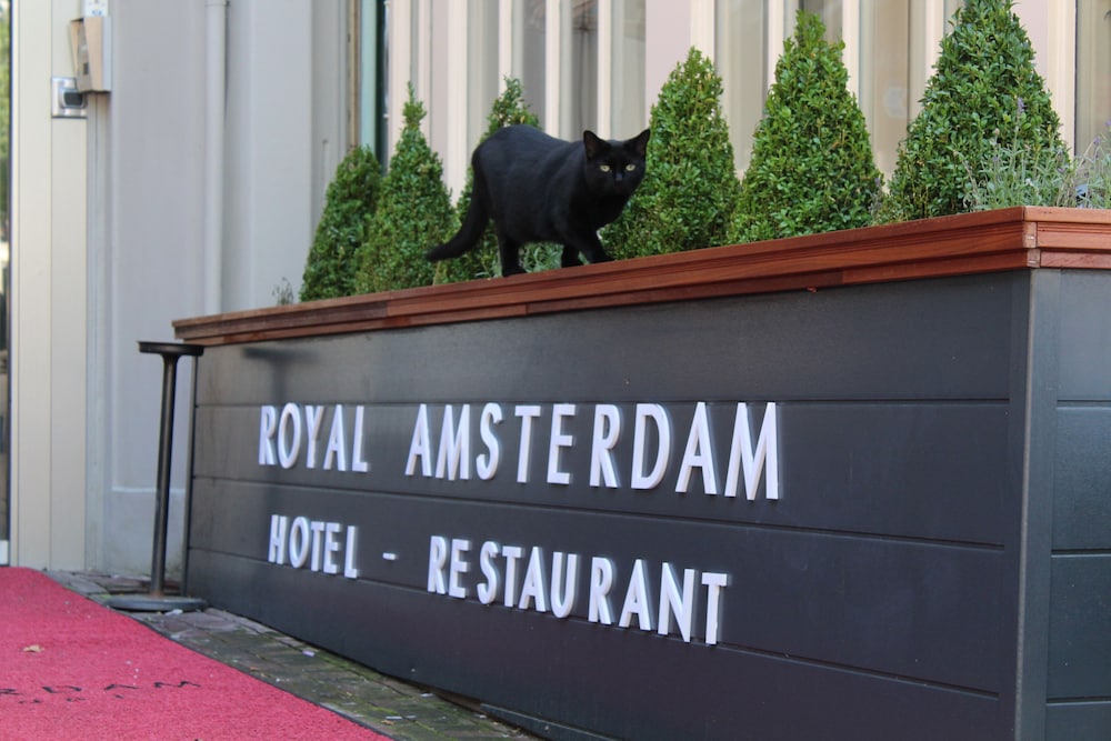 Royal Amsterdam Hotel 4/70