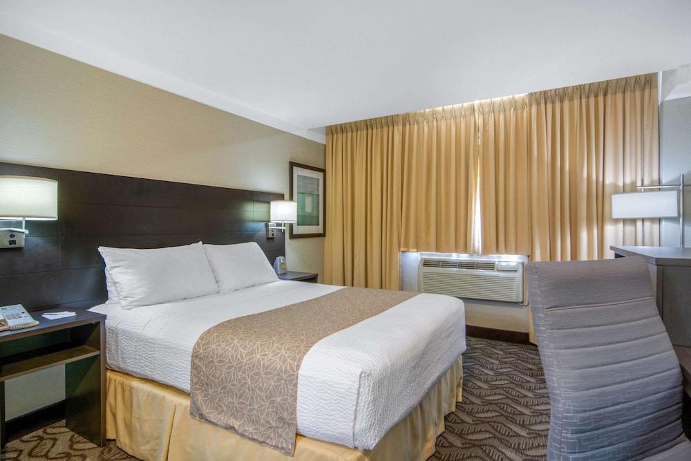 Standard, Queen Bed