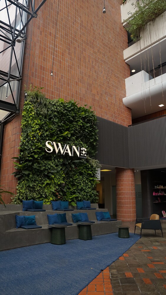 Swan Novo Hamburgo 38/42