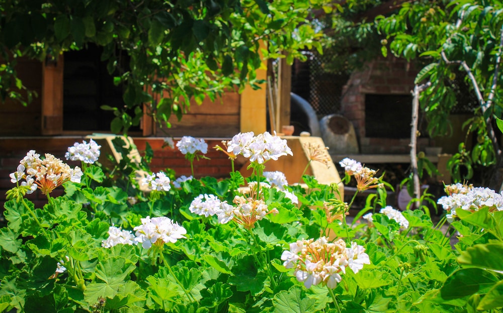 Lapida Garden Hotel 42/48