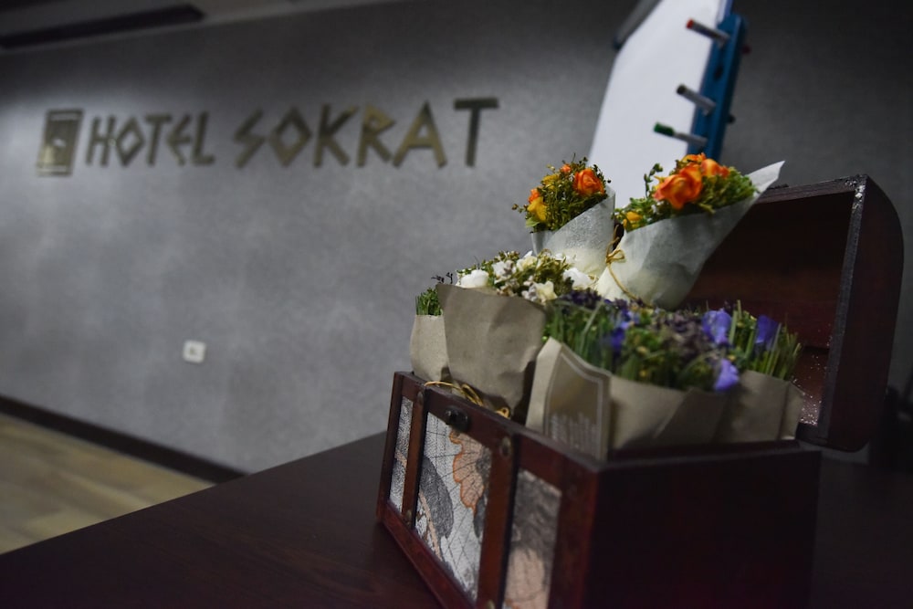 Hotel Sokrat 3/38
