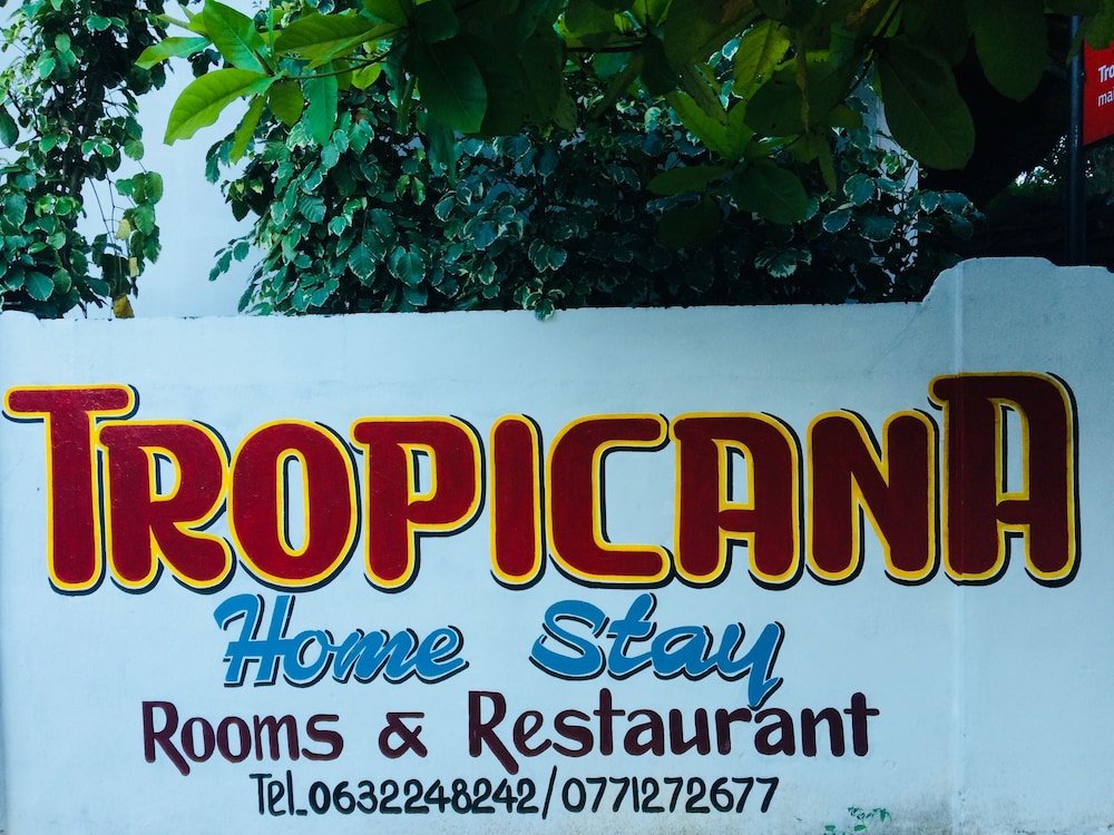 Tropicana Homestay 16/37