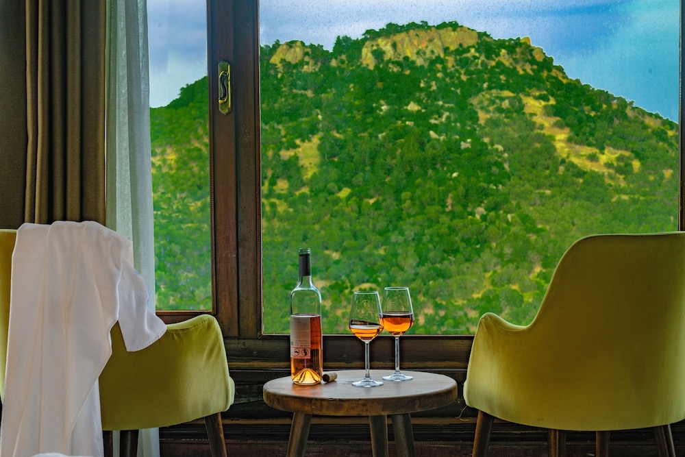 Assos Kartal Yuvasi Boutique Hotel 39/50