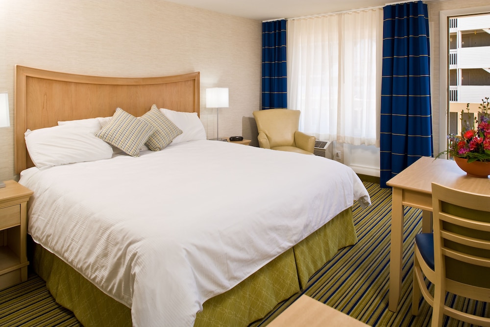 Surfside Hotel and Suites 4/57
