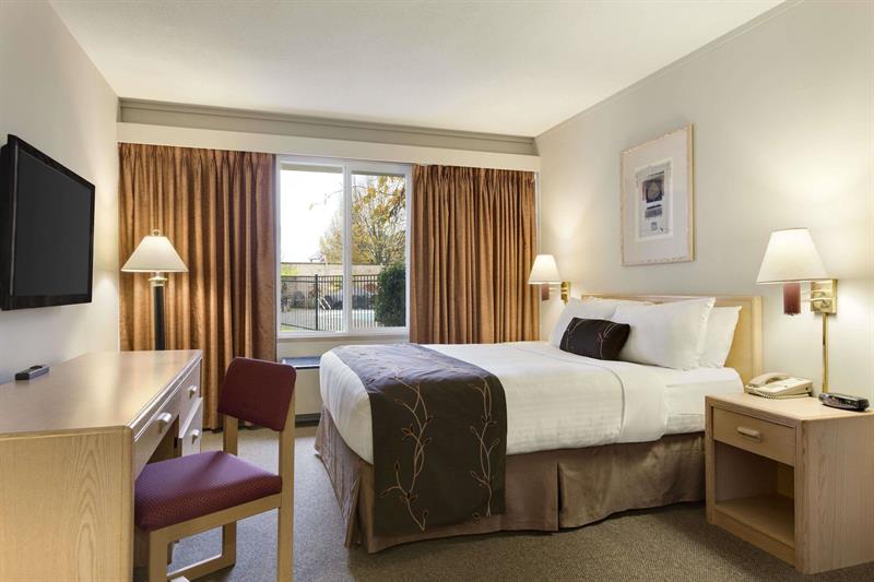 Room, King Bed