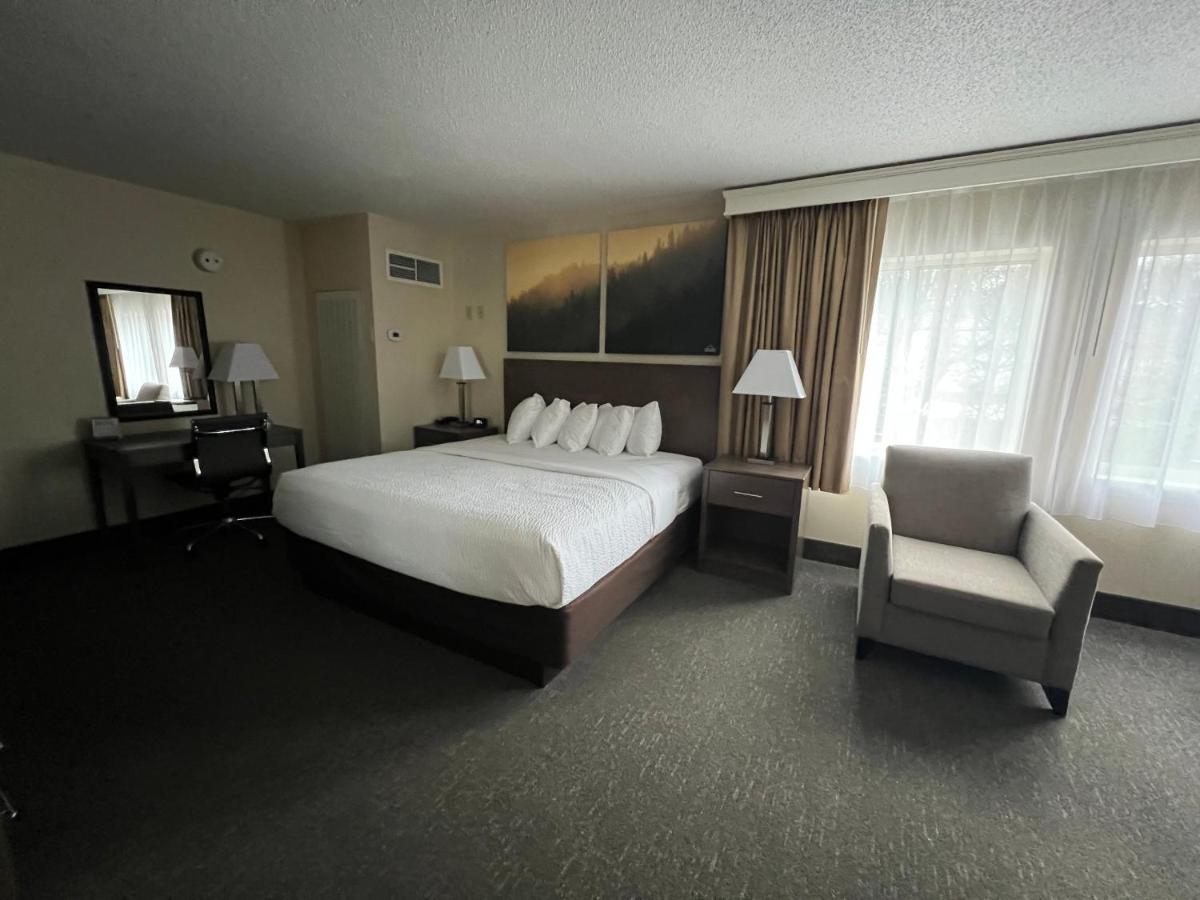 Room, Double Bed