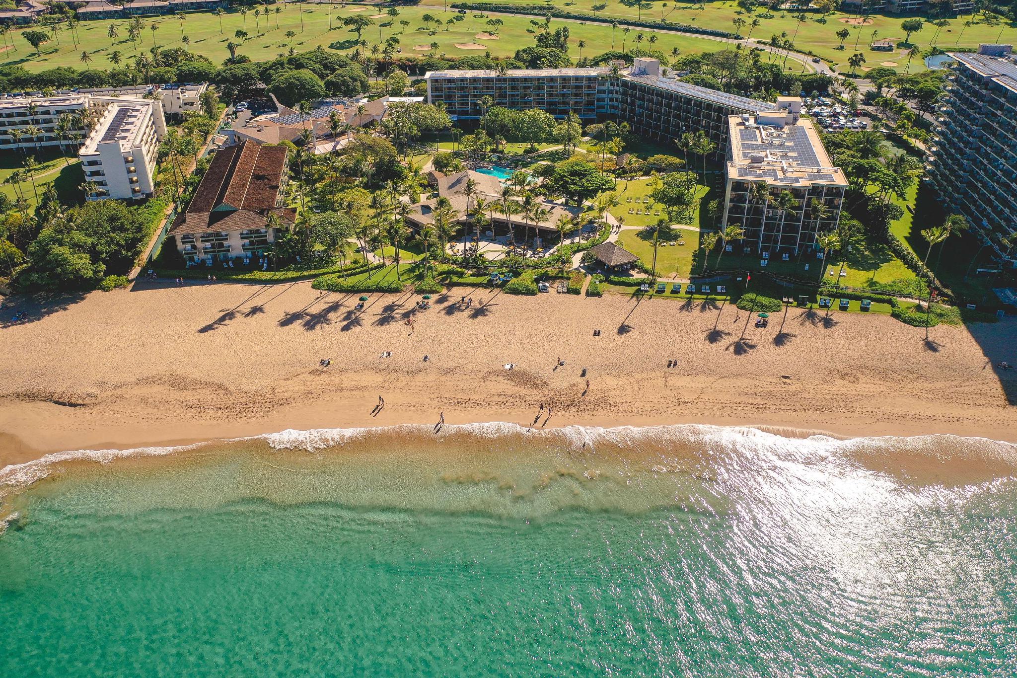 Signature, 2 Queen Beds, Pool and Ocean View