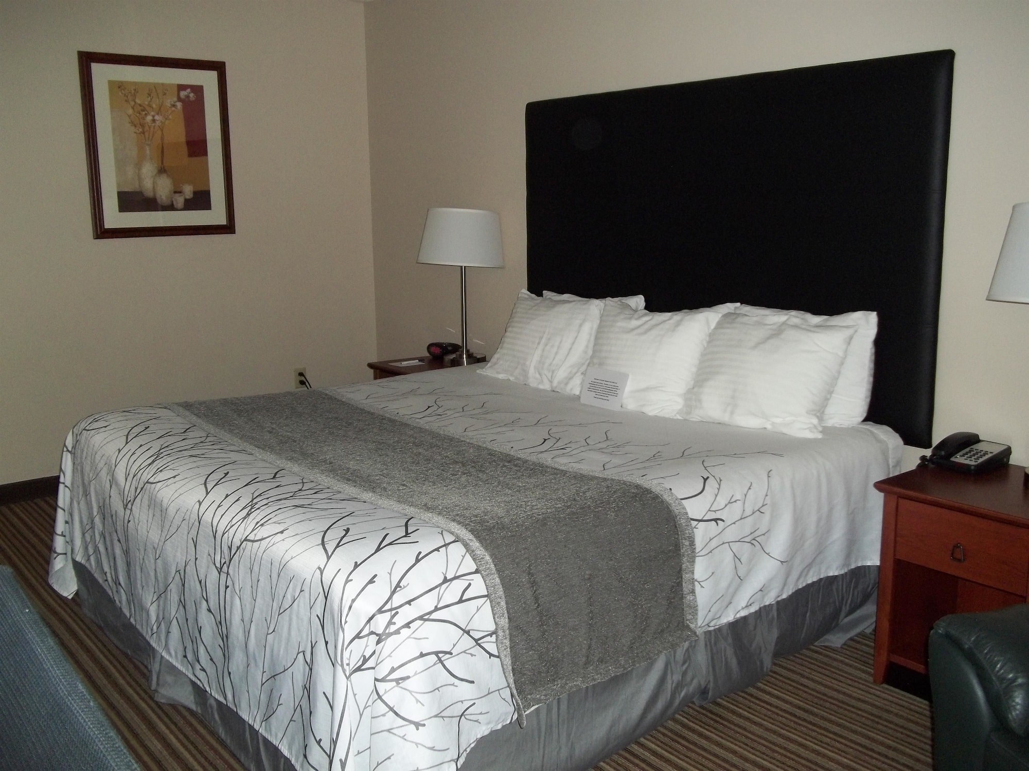 Standard, King Bed, Accessible