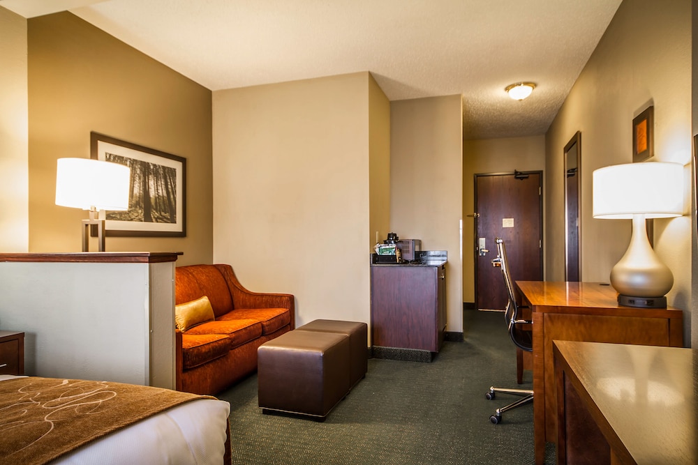 Comfort Suites Madison West - Middleton 29/38
