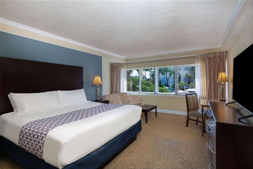 Room, King Bed
