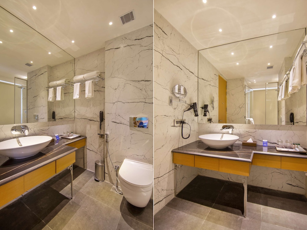 Sarovar Portico Sonepat 37/37