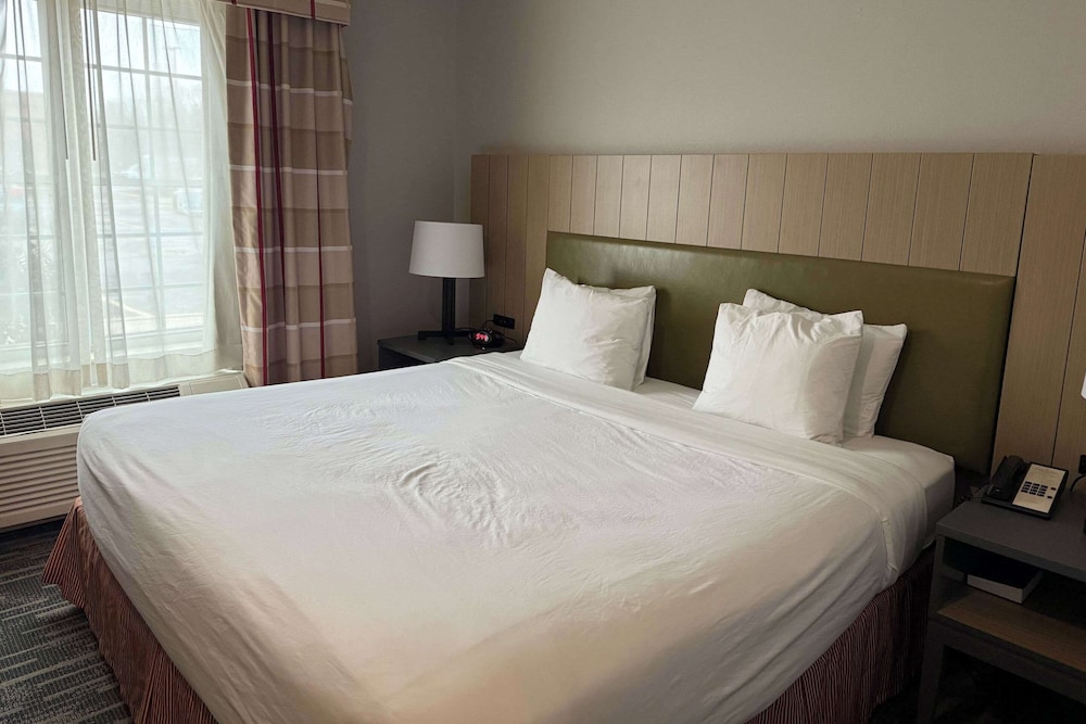 Suite, King Bed