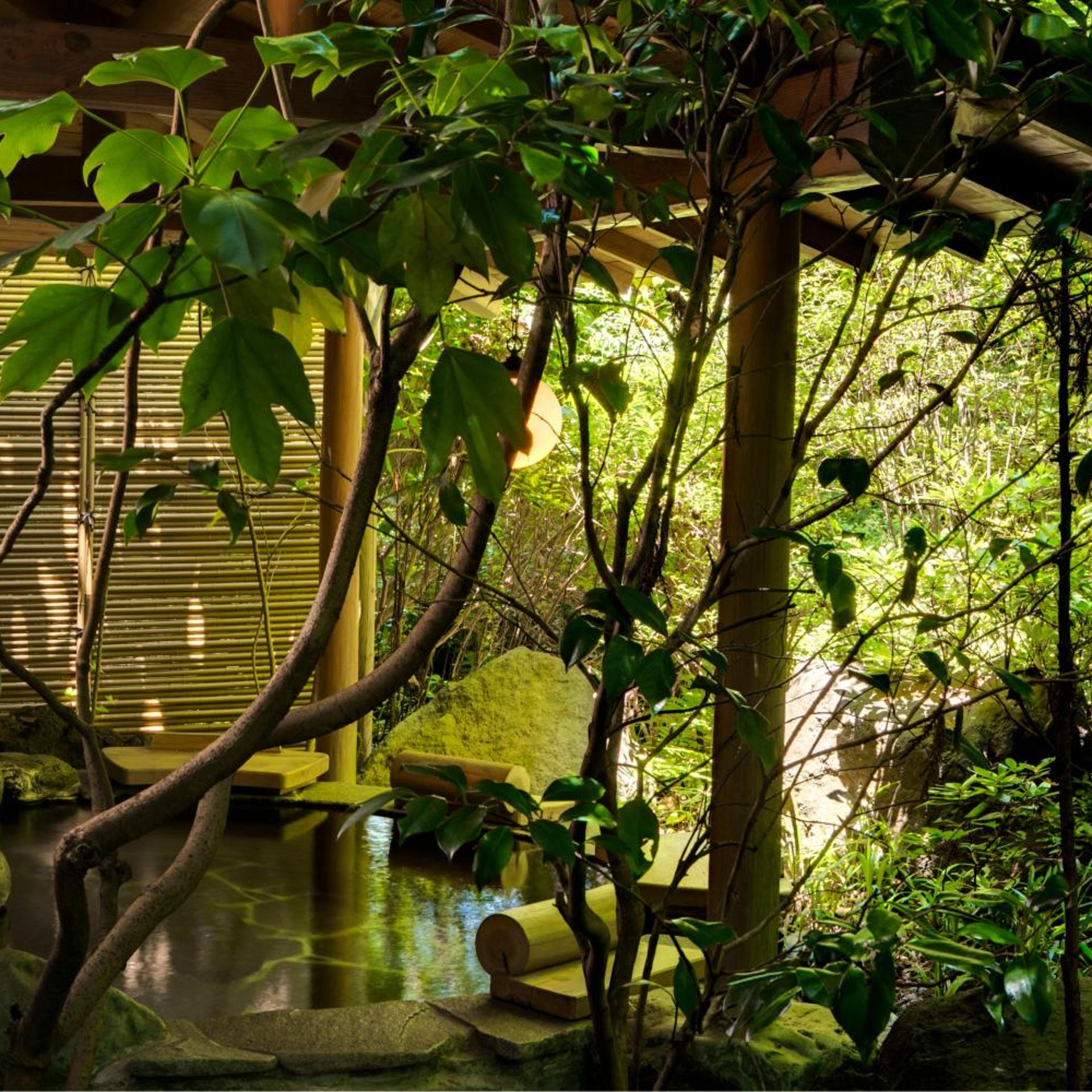 Shimoda Rendaiji Onsen Seiryuso 46/50