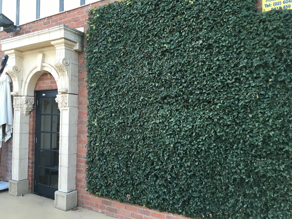 ALBURY MANOR HOUSE 2/66