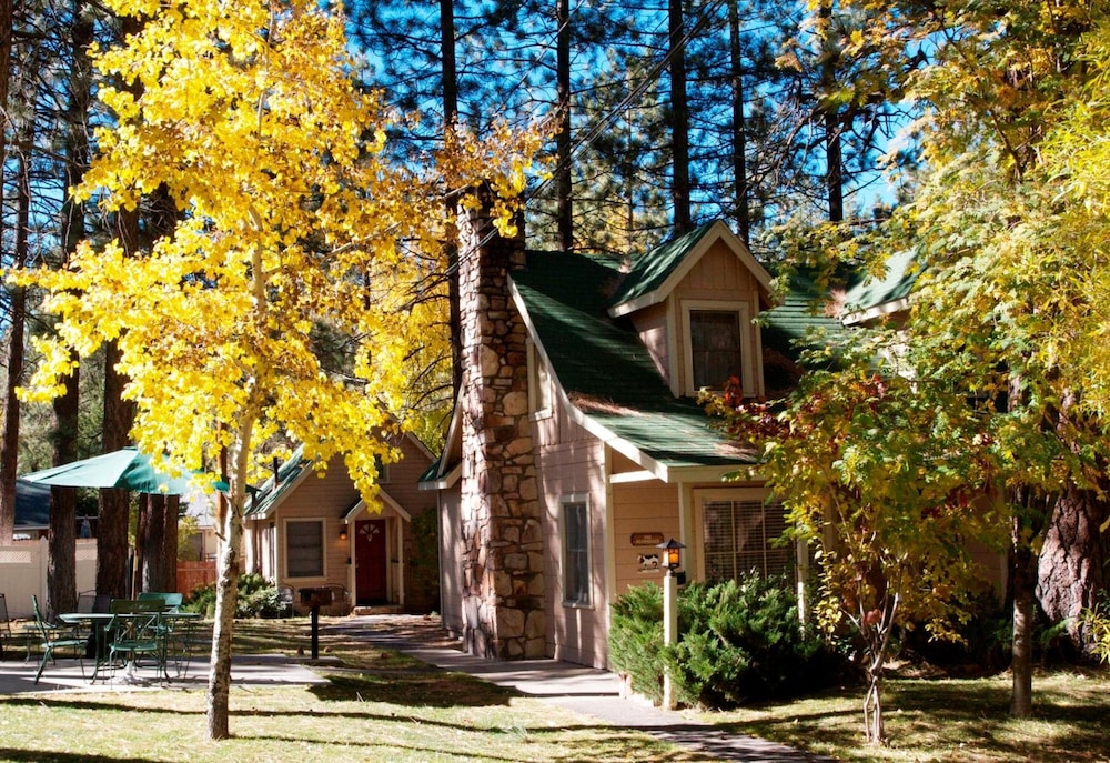 Sleepy Forest Cottages 60/65