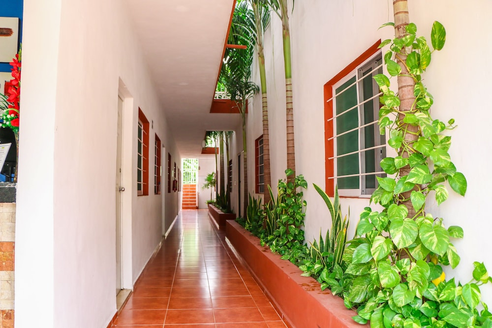 Gayser Apartamentos 4/39