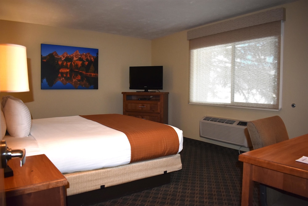 Best Western Driftwood Inn 18/38
