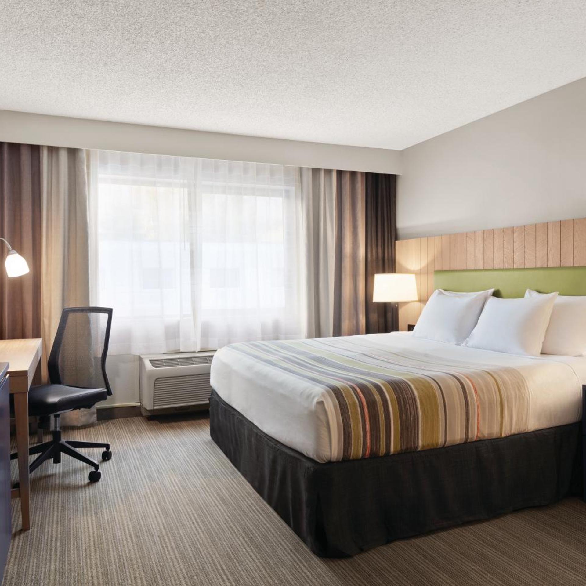 Studio, Suite, King Bed