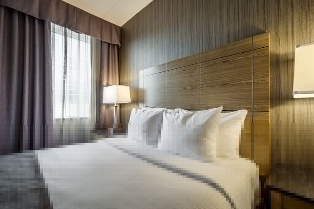 Monte Carlo Inn Airport Suites 25/68