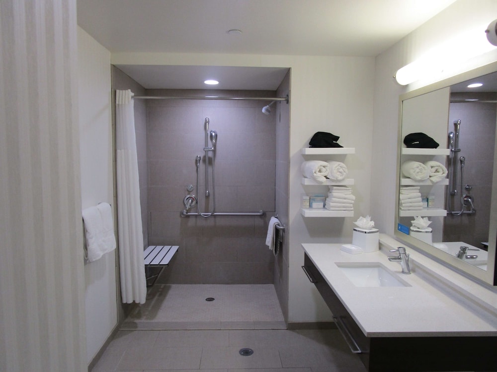 Hampton Inn and Suites Artesia 13/46