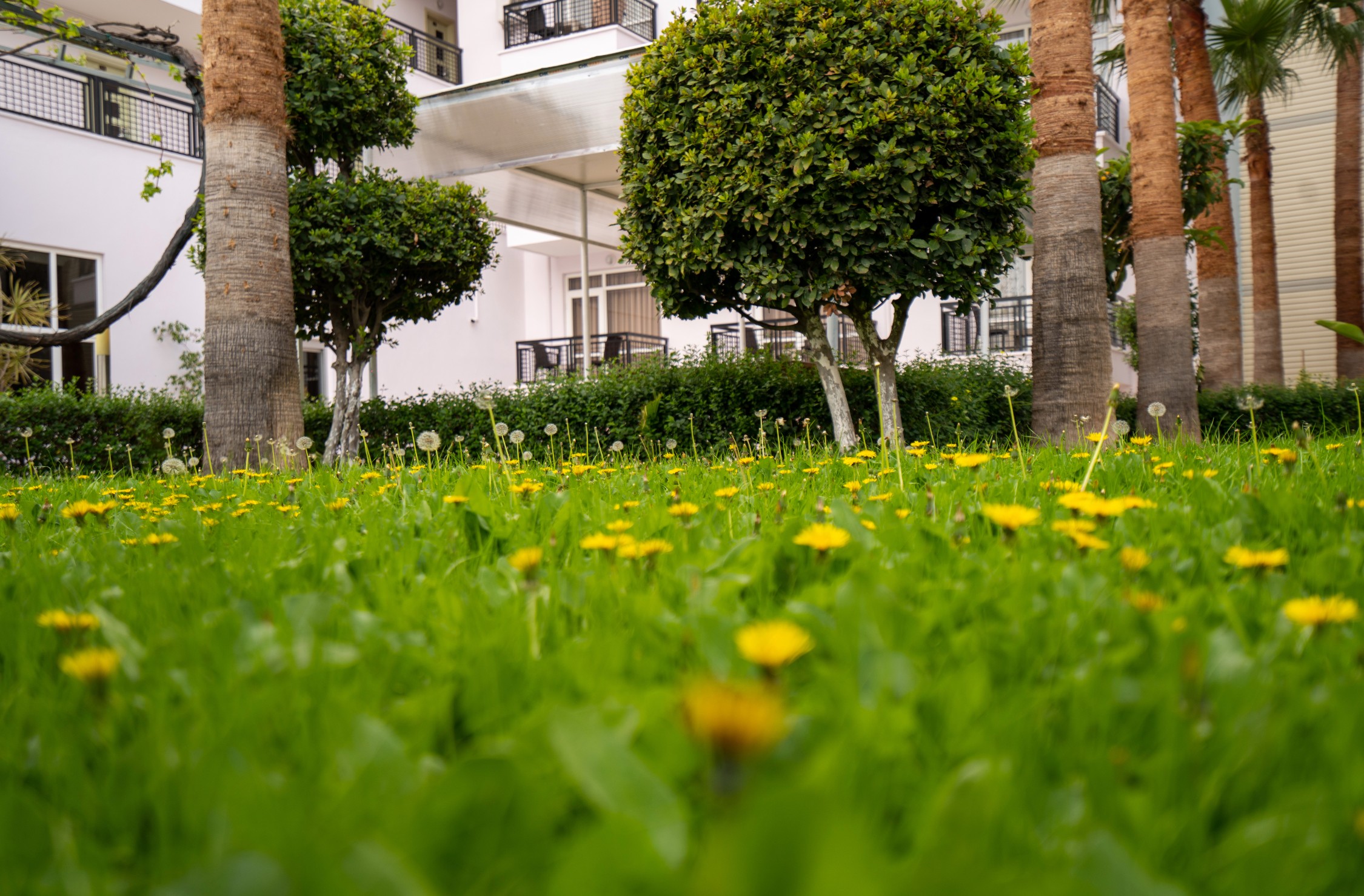 Malibu Resort Hotel 49/50