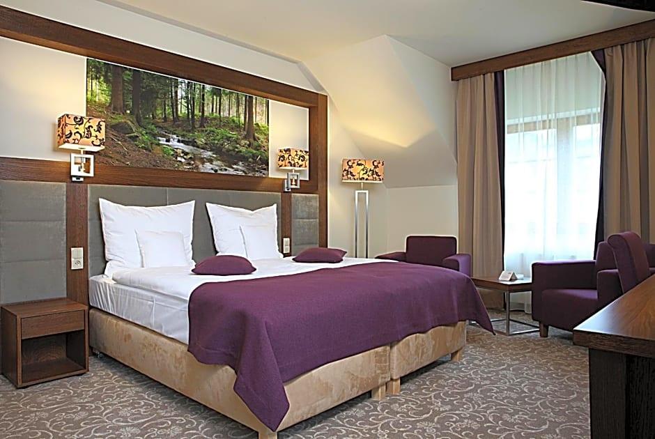 Hotel Mercure Krynica Zdroj Resort and Spa 17/50