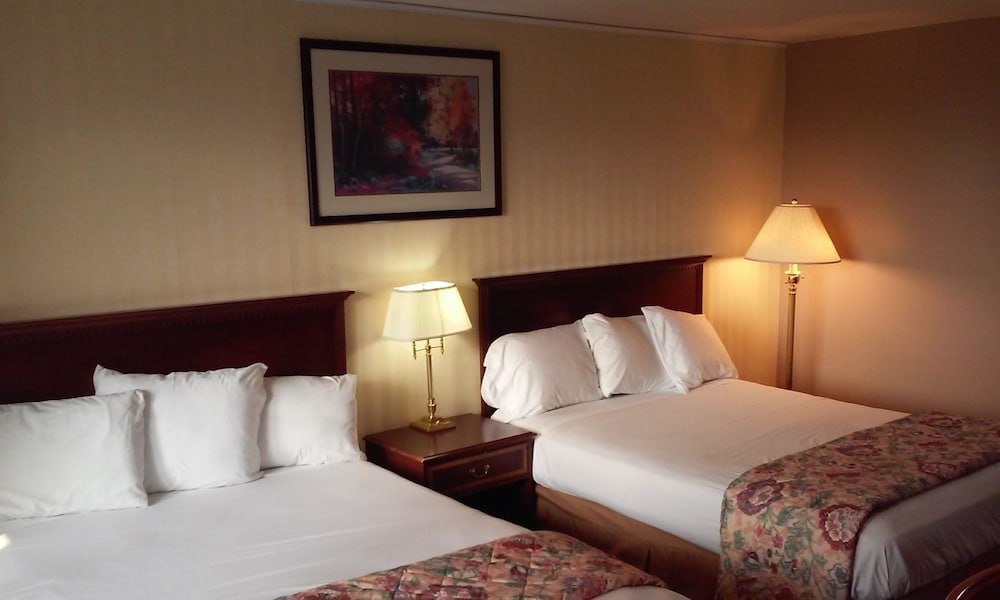 Motel Oasis Inn 14/56
