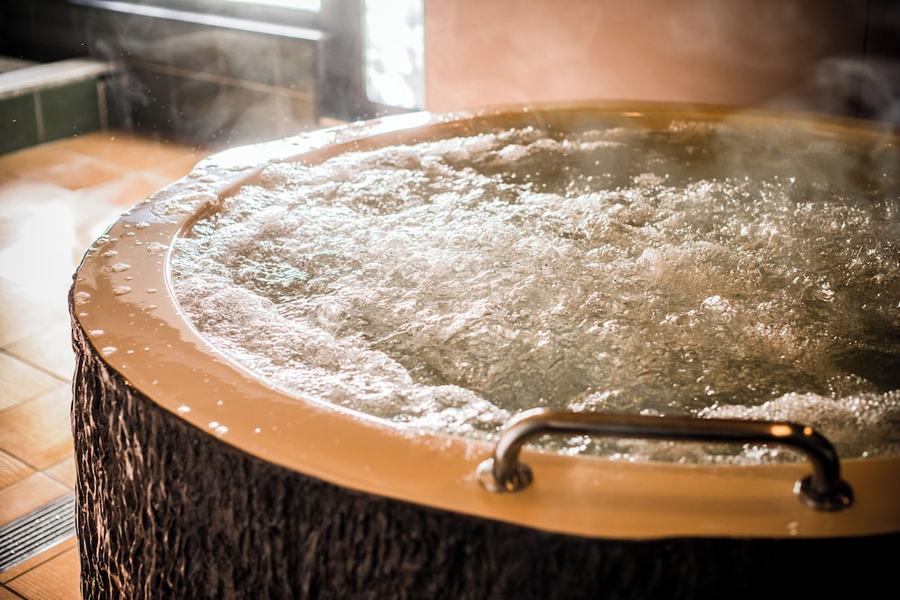 Dogo Onsen Yachiyo 29/37