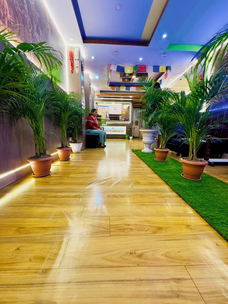 Hotel Plumeria Inn 35/39