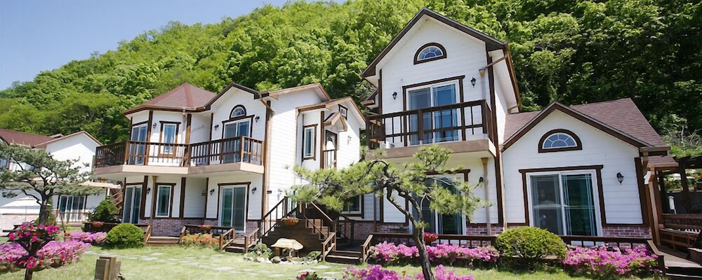 Forest Of Color Pension 48/50