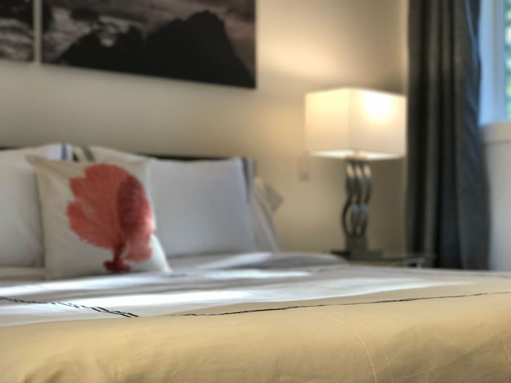 The Francis Boutique Inn 38/67