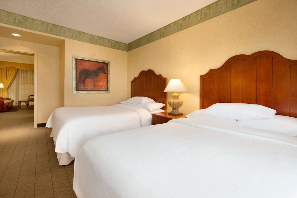 Embassy Suites by Hilton Albuquerque 15/63