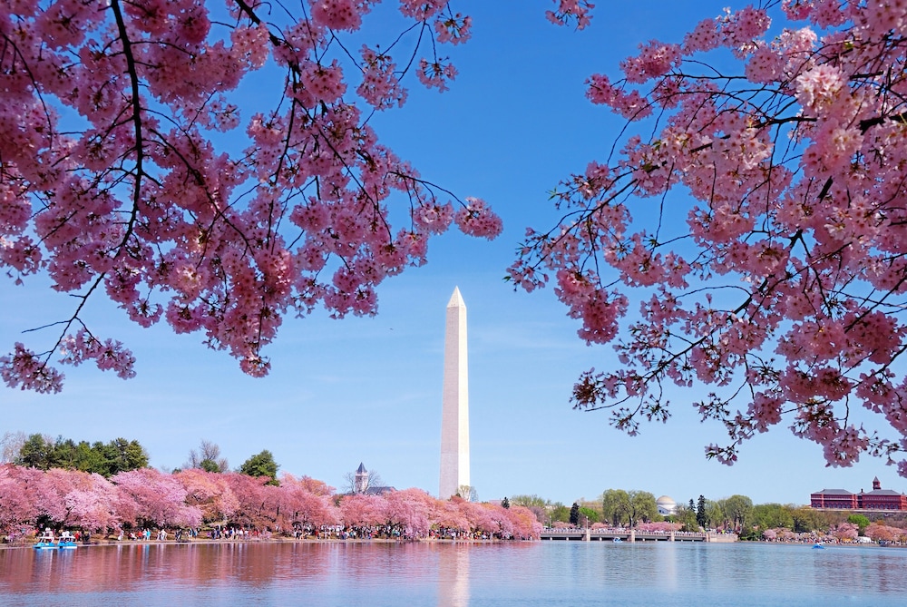 Le Meridien Washington, D.C., The Madison 65/77