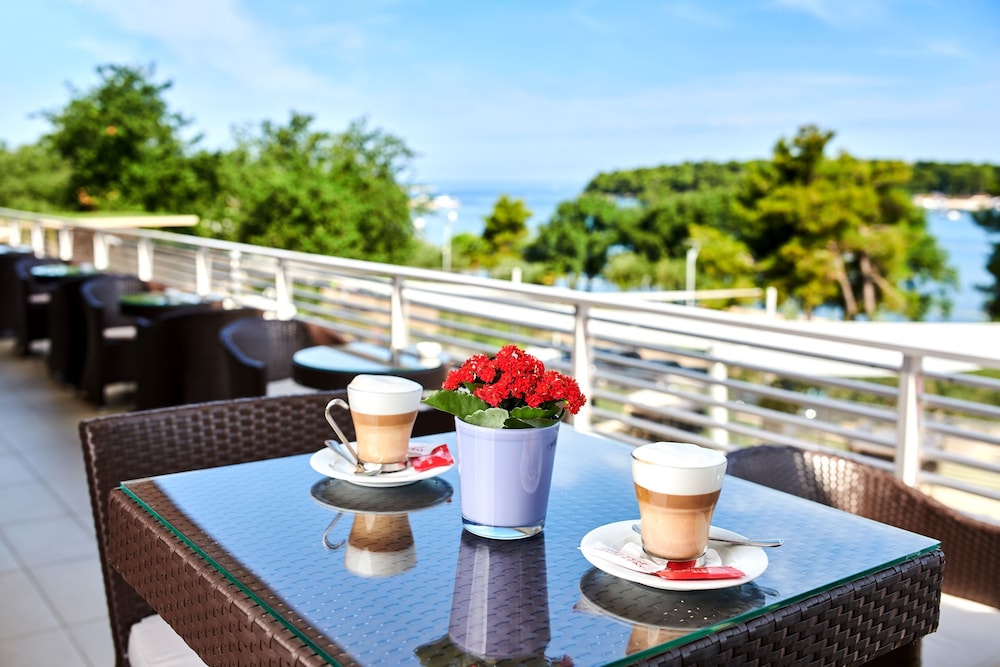 Hotel Molindrio Plava Laguna 33/50