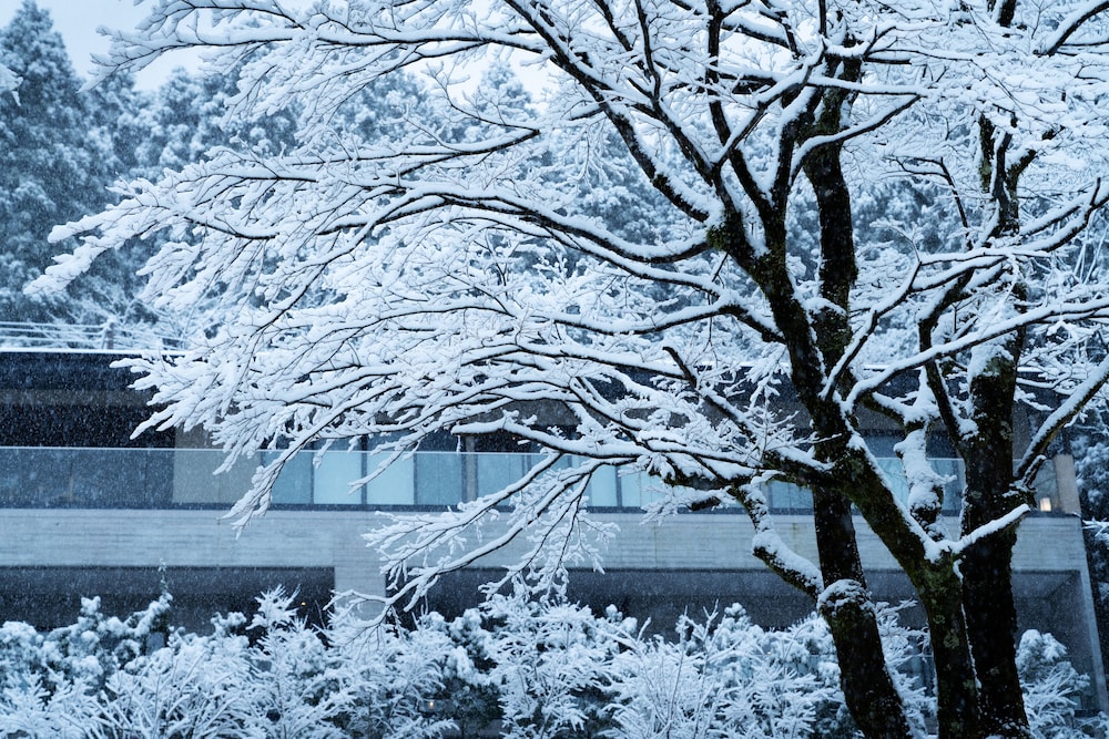 Hoshino Resorts KAI Sengokuhara 48/50