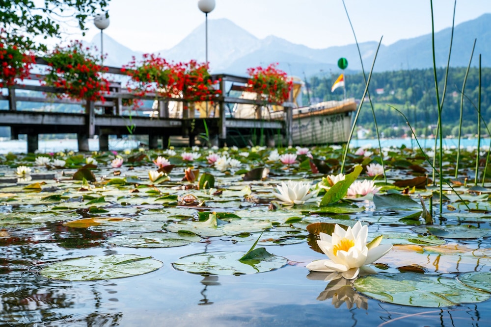 Inselhotel Faakersee 27/63